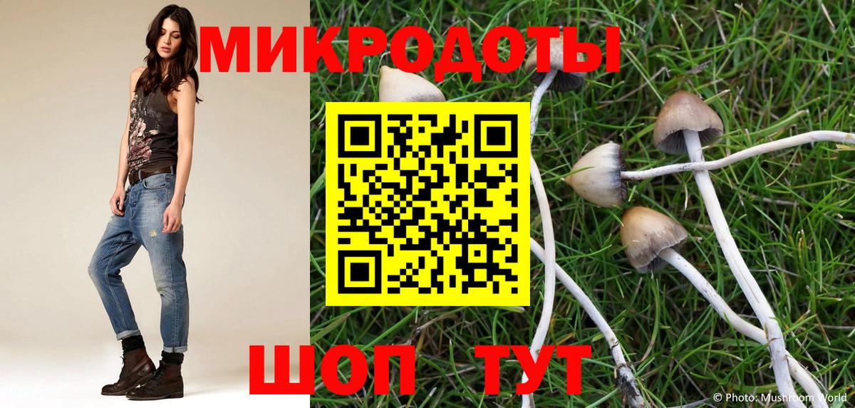 Галлюциногенные грибы GOLDEN TEACHER Мурино