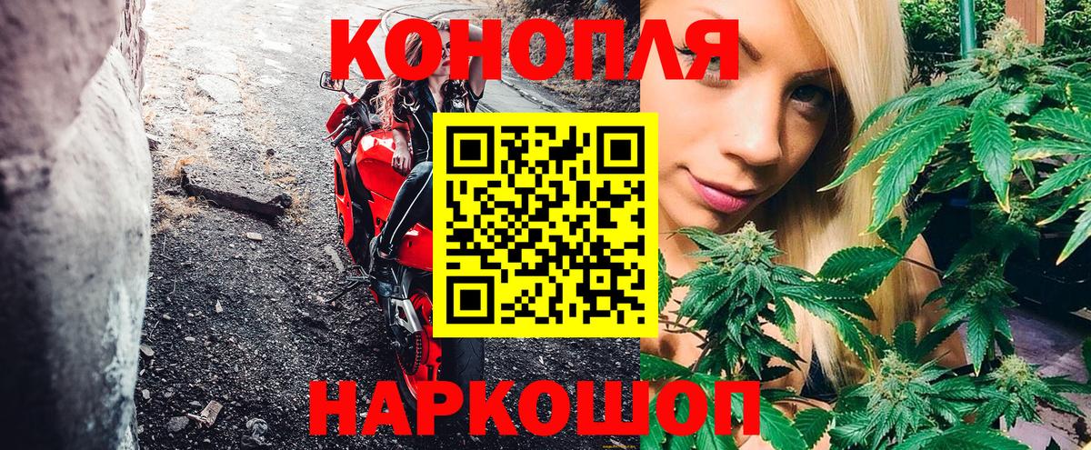 Бошки марихуана гибрид Мурино